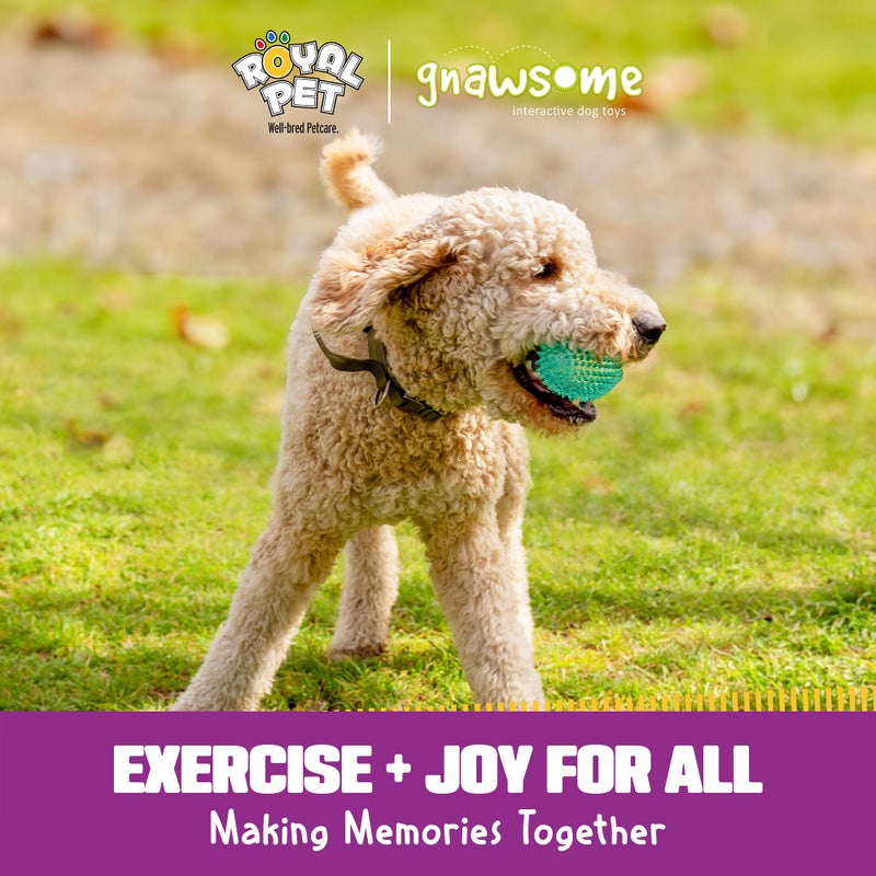 Gnawsomeâ„¢ 4.5â€ Spiky Squeaker Football Dog Toy - Large, Cleans Teeth and Promotes Good Dental and Gum Health for Your Pet, Colors Will Vary,All Breed Sizes - Image 2